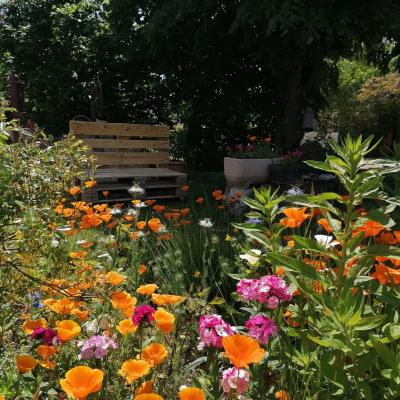 jardin
